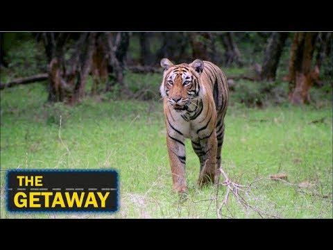 The Getaway - A Visit To The City Of Oranges, Nagpur