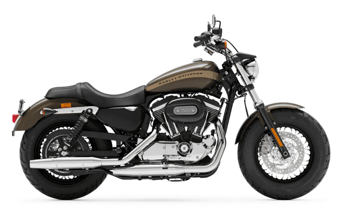 Harley-Davidson 1200 Custom River Rock Gray