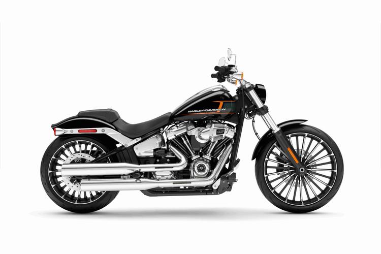 Harley-Davidson and Hero MotoCorp have announced the prices of the 2024 Harley line-up in India which has 10 motorcycles. This also includes a few new launches as well.