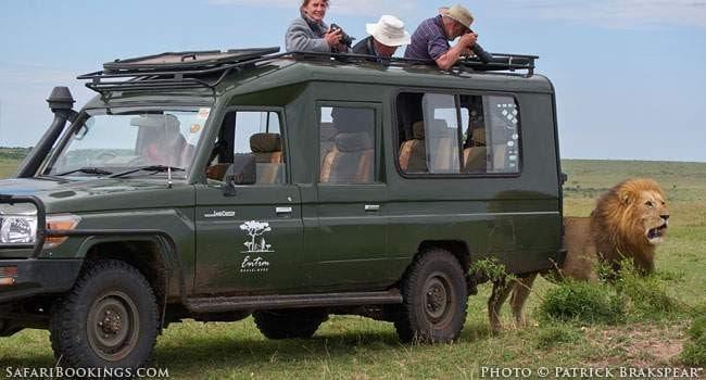 10 Tips on Vehicle Etiquette When Driving Through A Game Reserve