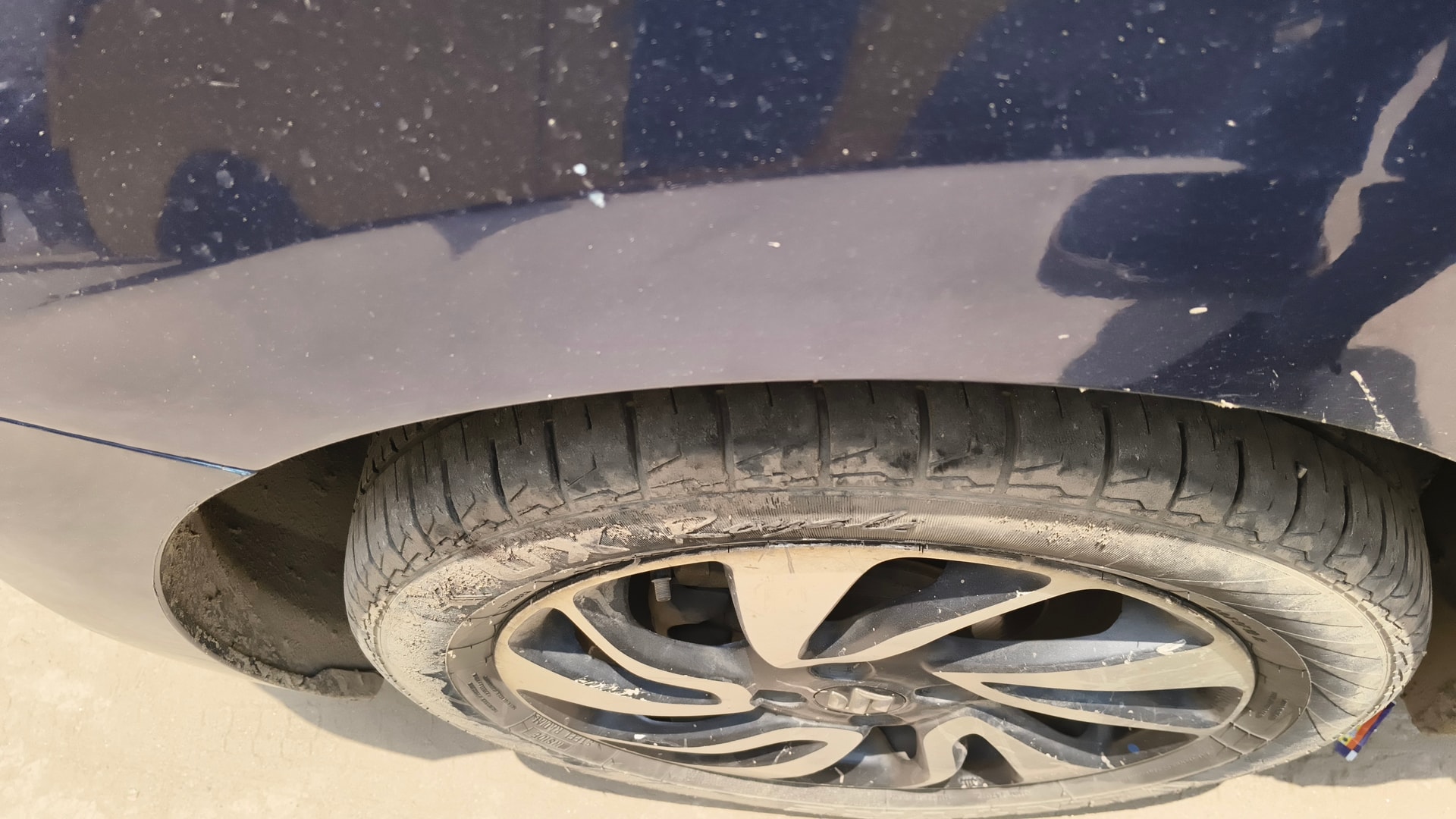Baleno image 8 Baleno image 8