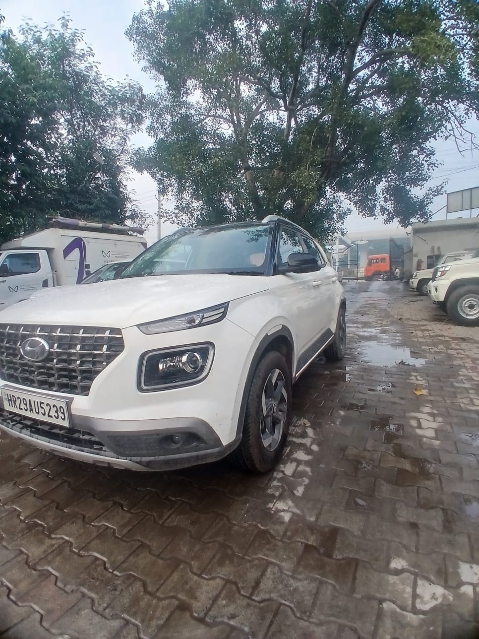 View 2019 Hyundai Venue SX 1.0 Petrol Dual Tone BS IV Image 1 Used 2019 Hyundai Venue SX 1.0 Petrol Dual Tone BS IV Image 1