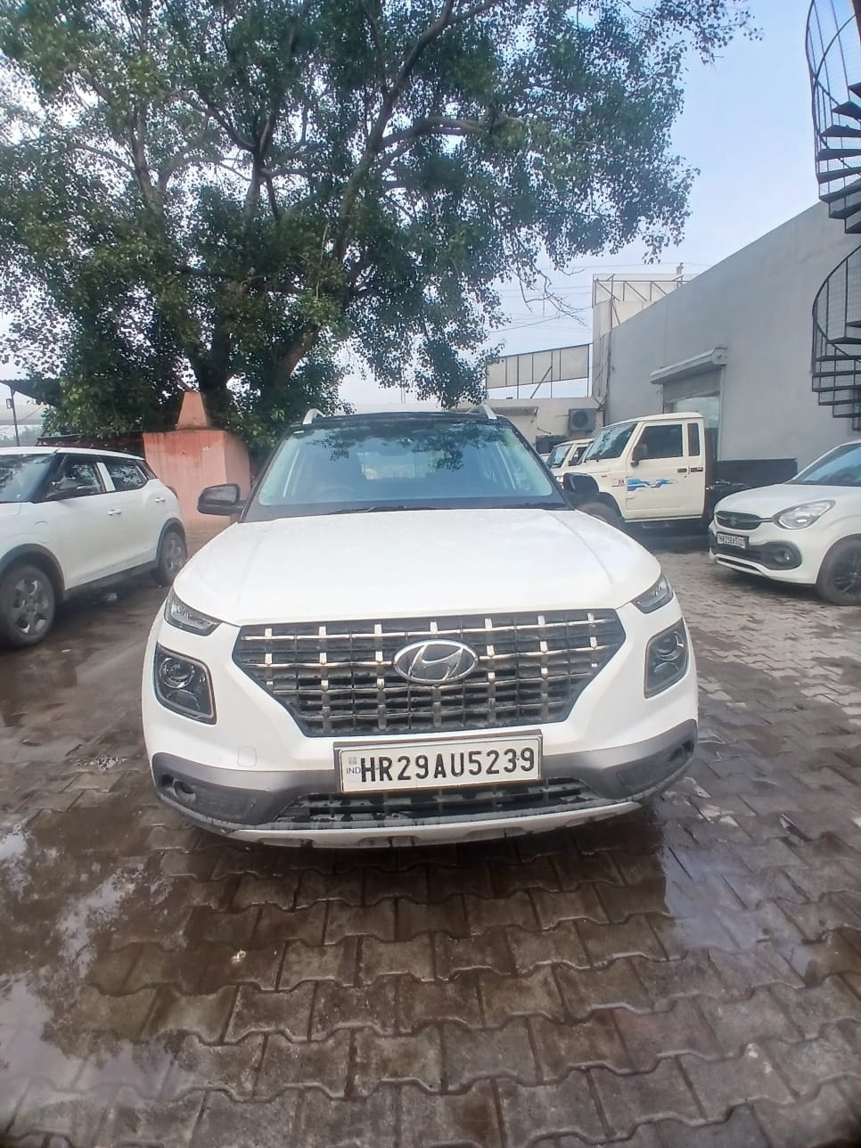 View 2019 Hyundai Venue SX 1.0 Petrol Dual Tone BS IV Image 2 Used 2019 Hyundai Venue SX 1.0 Petrol Dual Tone BS IV Image 2