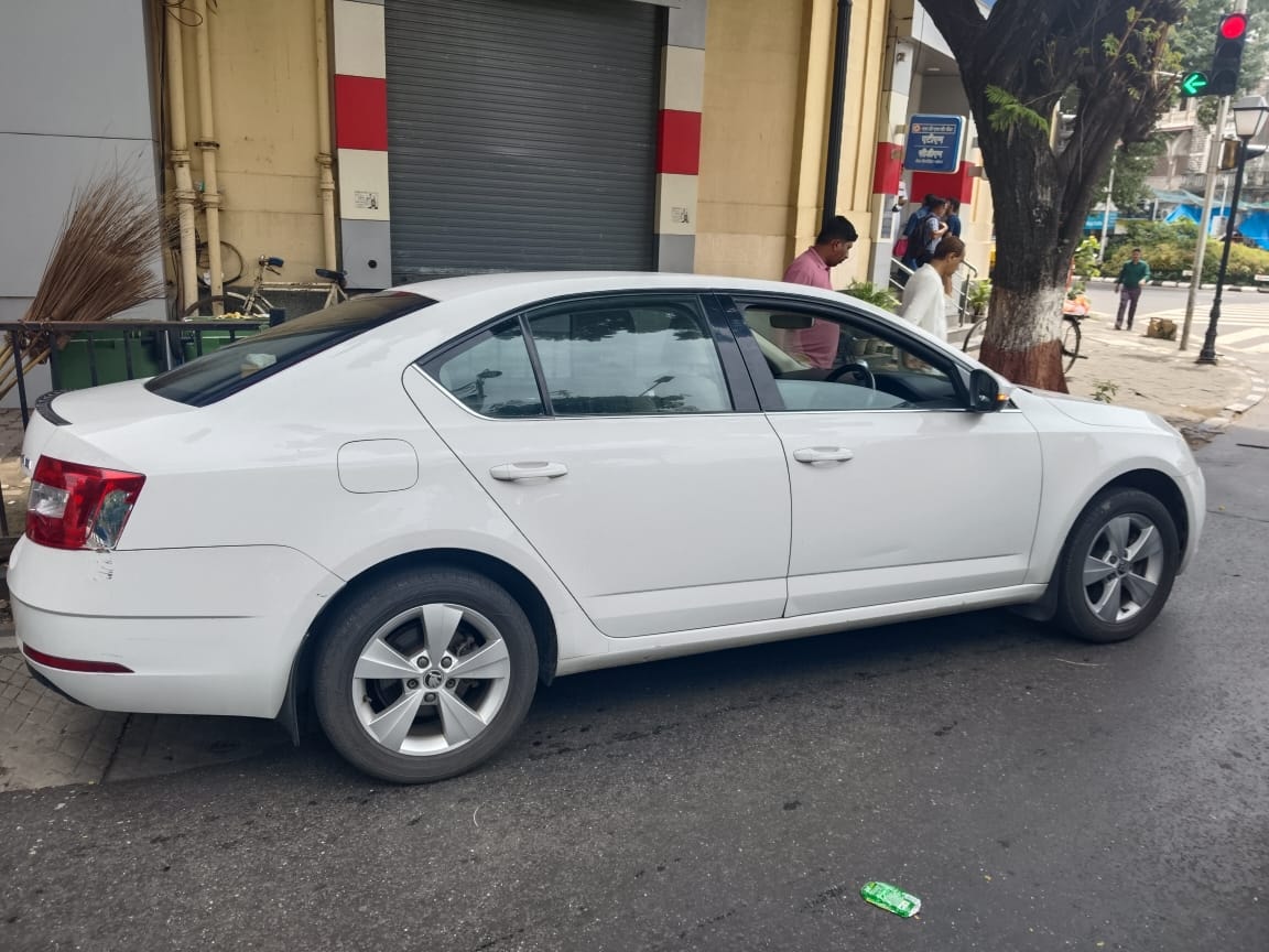 Octavia image 3 Octavia image 3