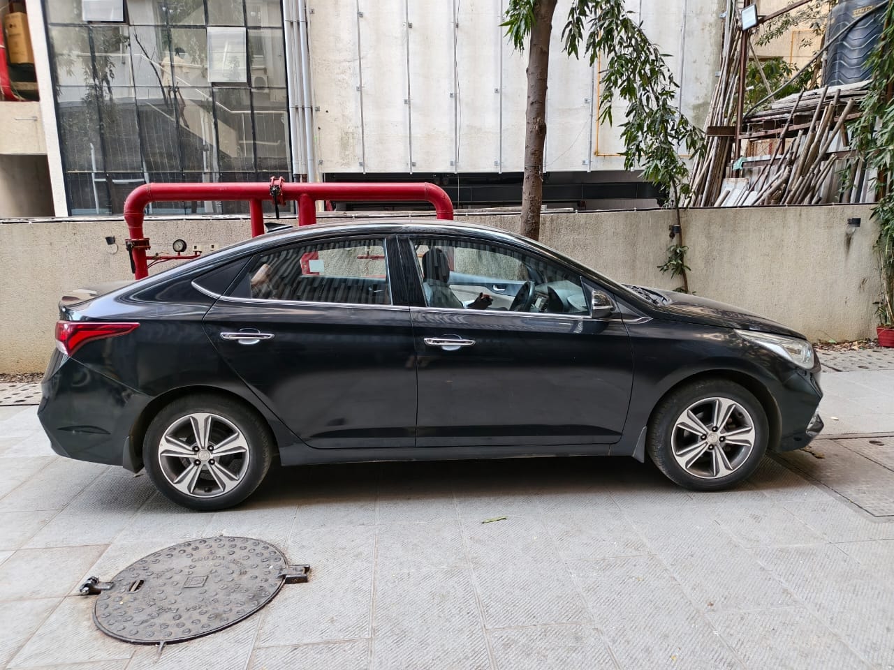 Verna image 3 Verna image 3