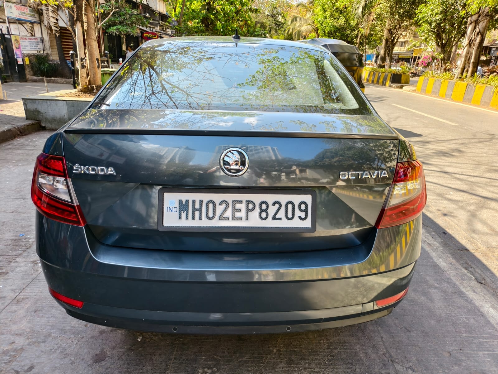 Octavia image 2 Octavia image 2