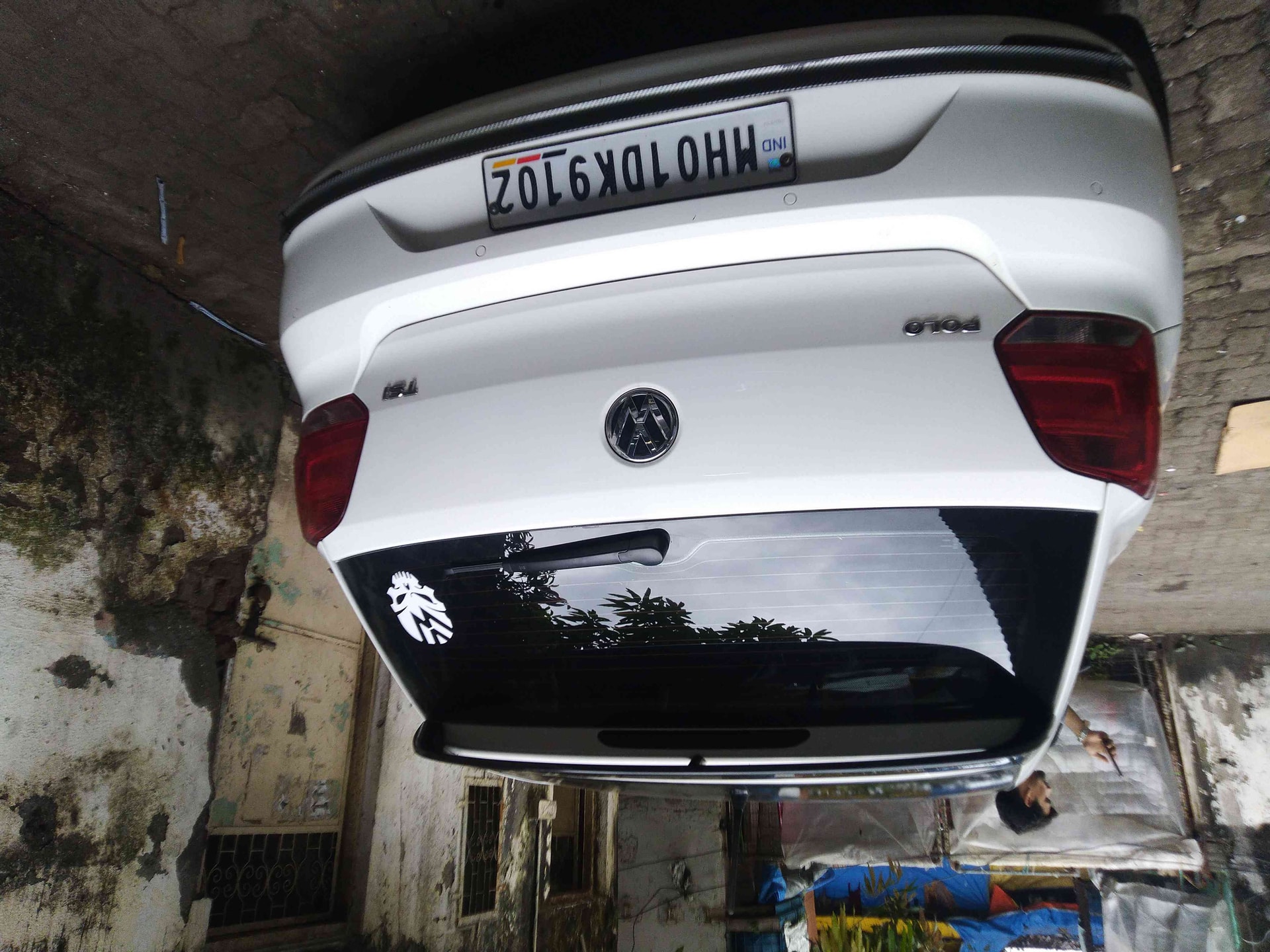 Polo image 2 Polo image 2