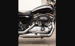 Harley Davidson 1200 Custom Exhaust