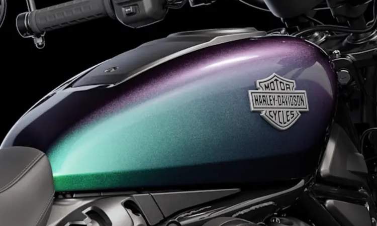 2025 Nightster Fueltank 2025 Nightster Fueltank