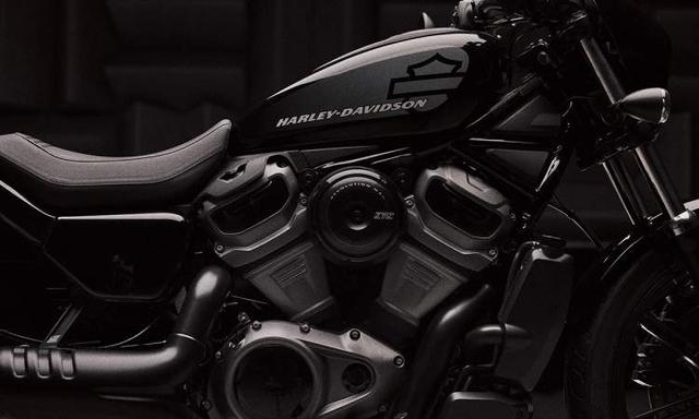 Harley Davidson Nightster Graphics