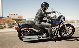Harley Davidson Softail Low Rider View