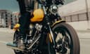 2025 Street Bob