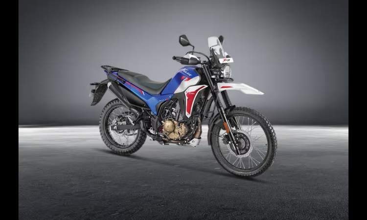 Xpulse 210678a6eddd6621 Xpulse 210678a6eddd6621 images