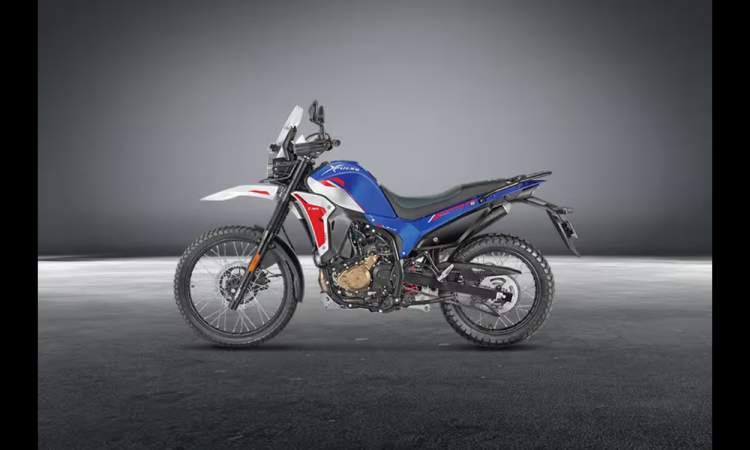 Xpulse 210678a6f498ca65 Xpulse 210678a6f498ca65 images