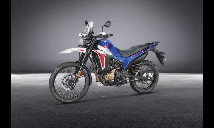 Xpulse 210678a6f4c6e98d Xpulse 210678a6f4c6e98d images