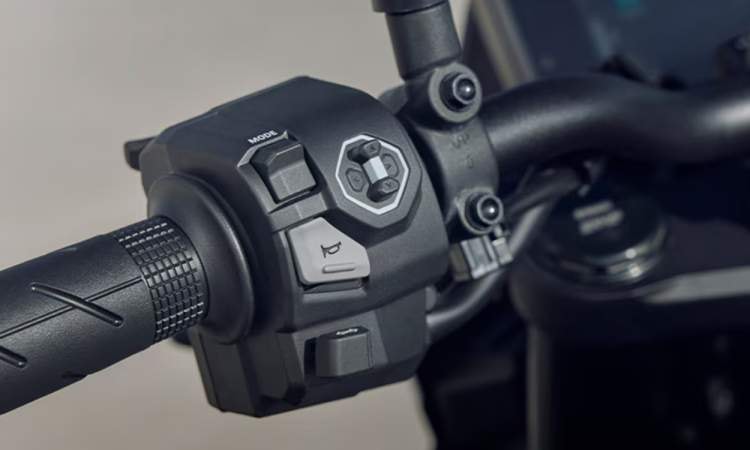 Left Handlebar Control Cluster Left Handlebar Control Cluster