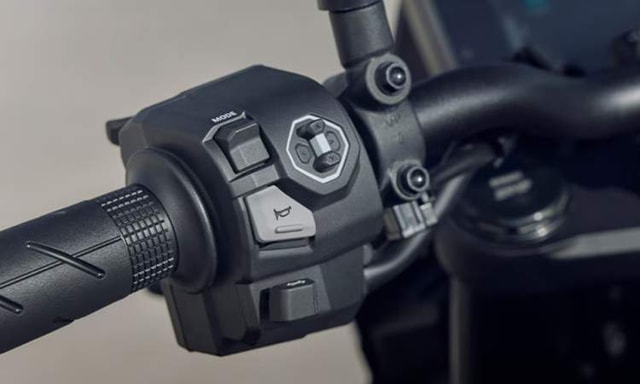 Left Handlebar Control Cluster Left Handlebar Control Cluster