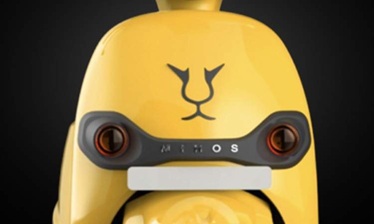 Joy E Bikes Mihos Front Joy E Bikes Mihos Front images