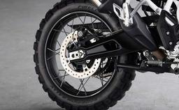 Tiger 900 Rally Pro Tyres