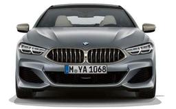 Bmw 8series Front View