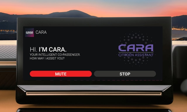 Information Display Information Display