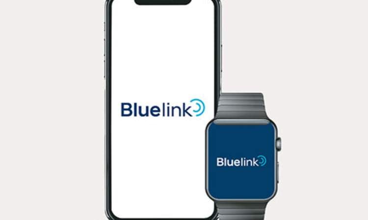 Convenience Bluelind Feature Hyundai Creta EV Convenience Bluelind Feature Hyundai Creta EV