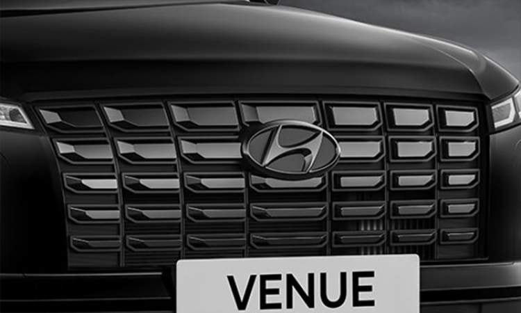 Black painted front grille and Hyundai logo Black painted front grille and Hyundai logo