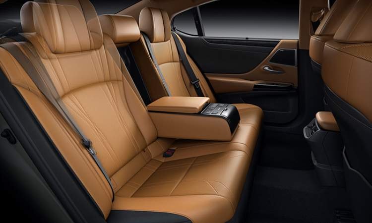 A Luxurious Cabin A Luxurious Cabin