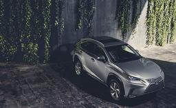 Lexus Nx H Shown In Atomic Silver