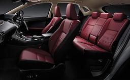 Lexus Nx H Luxury Seats