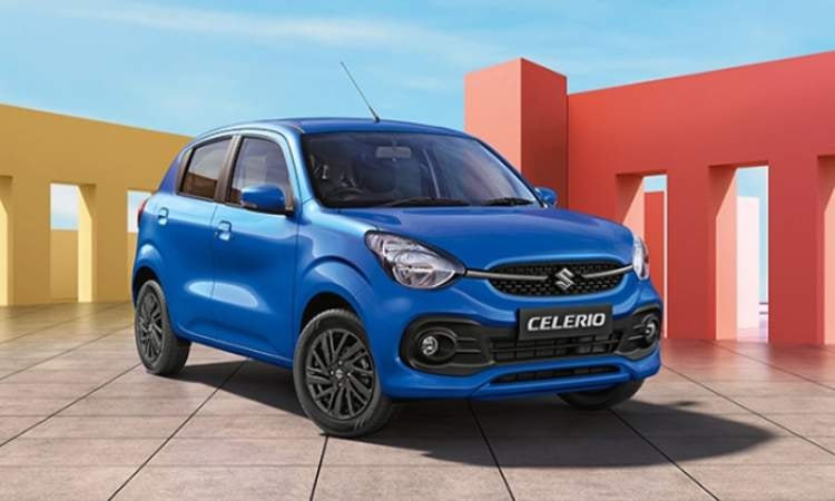 3D Organic Sculpted Design 3D Organic Sculpted Design