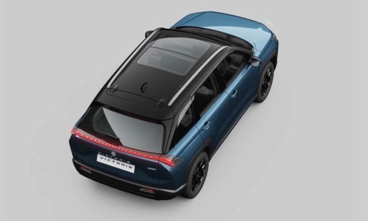 Maruti Suzuki Victors Topview Maruti Suzuki Victors Topview