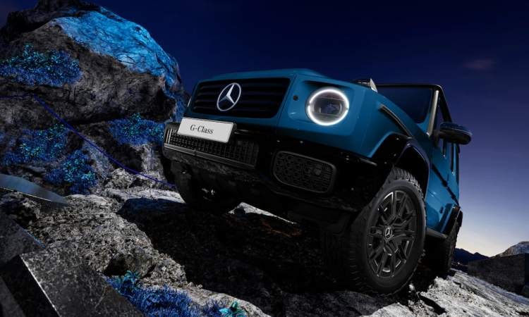 1736154053638 1736154053638 images