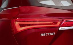 Hector Taillight