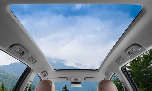 BYD EMax7 Sunroof BYD EMax7 Sunroof