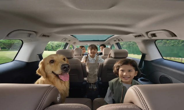 BYD EMax7 Seats Comfort BYD EMax7 Seats Comfort