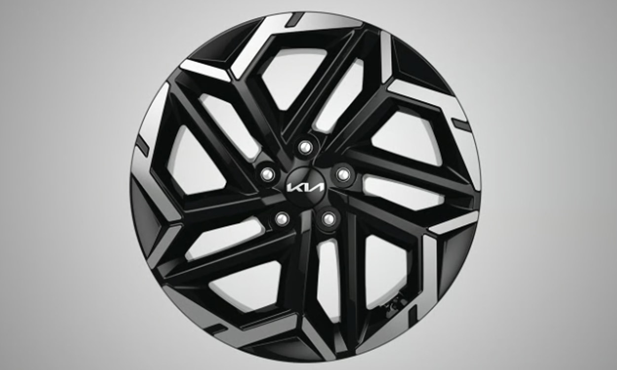 Kia Carnival Wheel Cover Kia Carnival Wheel Cover