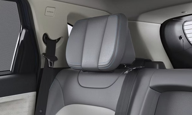 Tata Harrier EV Comfort Wing Headrest Tata Harrier EV Comfort Wing Headrest