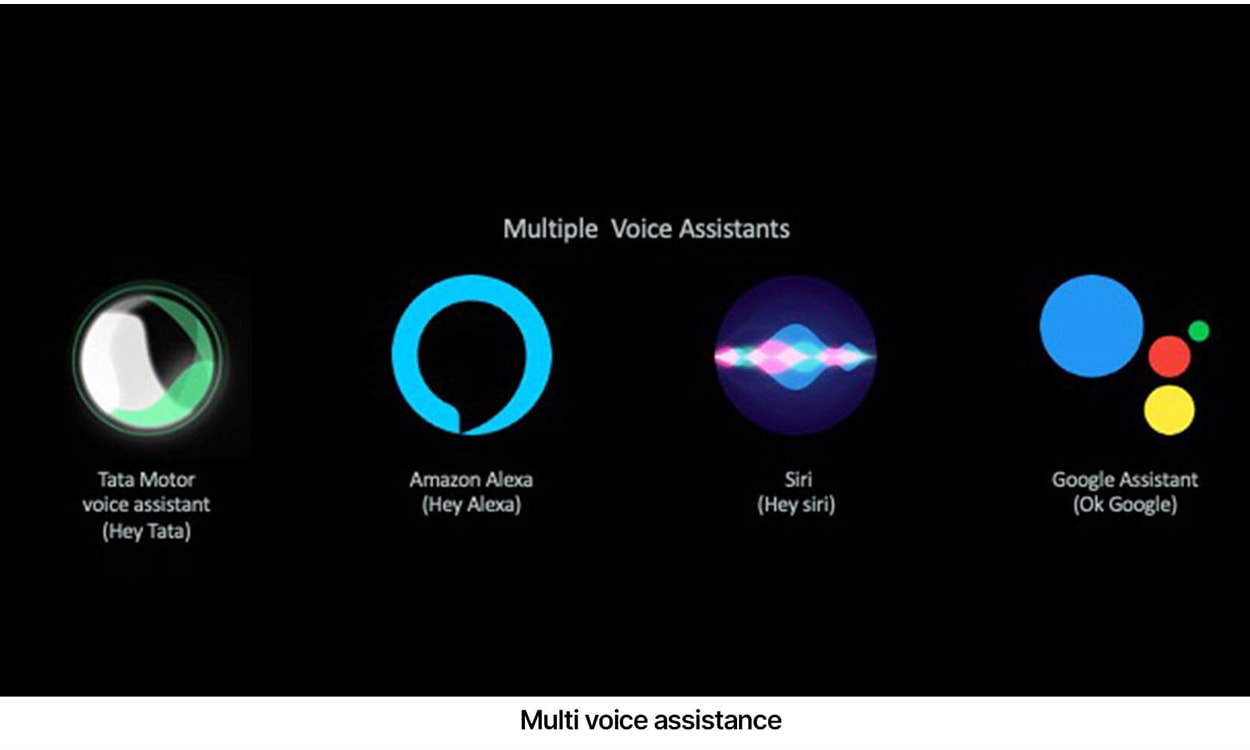 Tata Nexon Ev Assist Tata Nexon Ev Assist