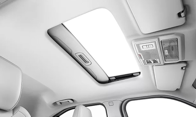 Punch Ev Sunroof With Voice Assistance Control Punch Ev Sunroof With Voice Assistance Control