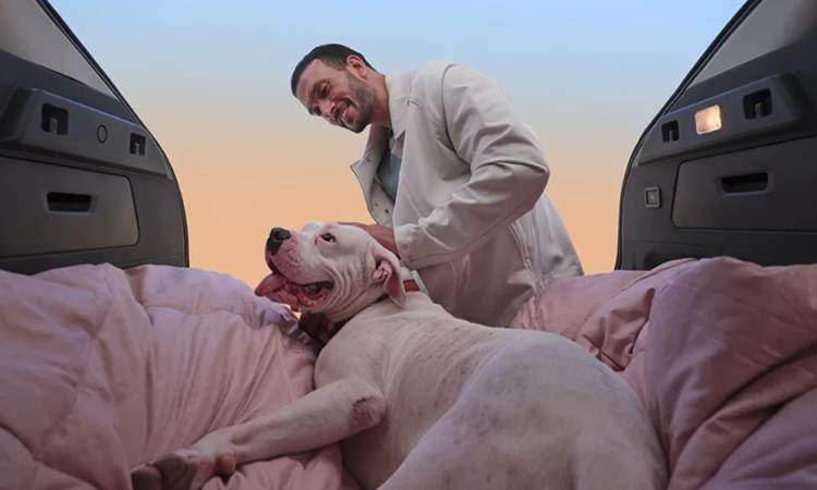 Tata Curvv Ev Bootspace2 Tata Curvv Ev Bootspace2