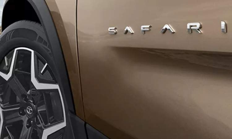 Signature Safari Mascot on doors Signature Safari Mascot on doors