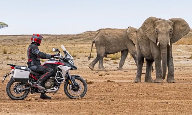 Ducati Multistrada V4 Rally Launched In India; Prices Start At Rs 29.72 Lakh  Ducati Multistrada V4 Rally Launched In India; Prices Start At Rs 29.72 Lakh
