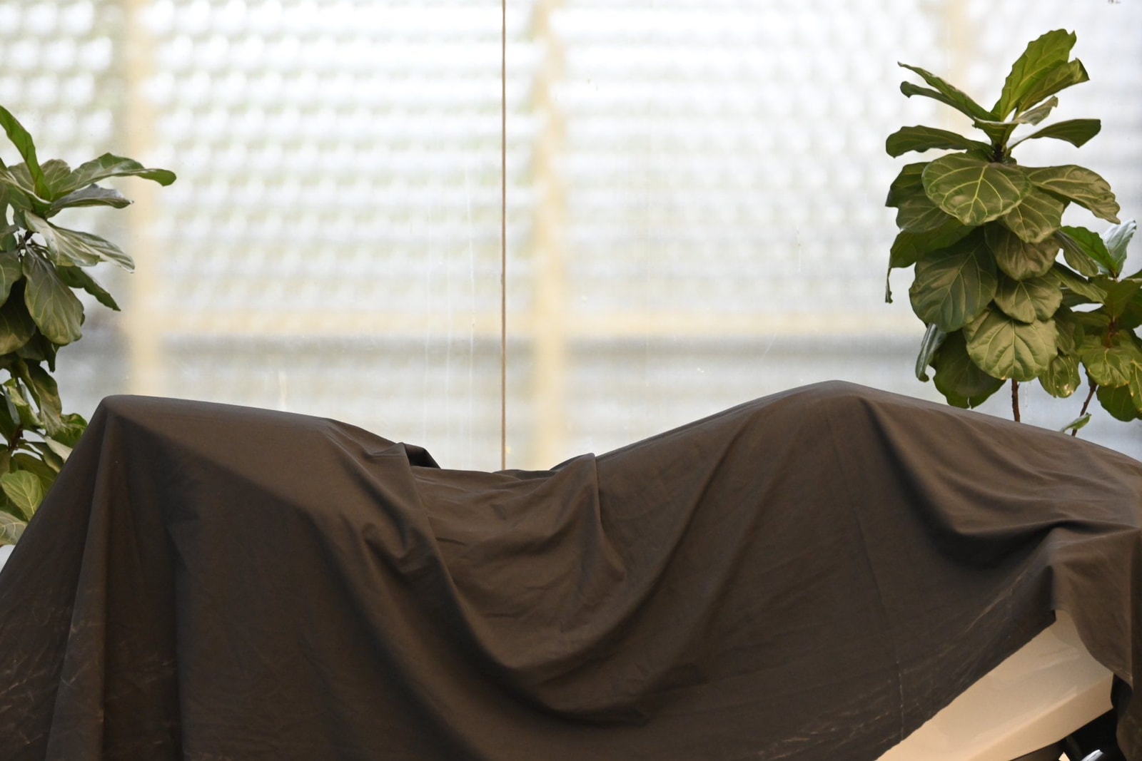 Ola Electric Motorcycle Teased; To Be Unveiled On 15th August Ola Electric Motorcycle Teased; To Be Unveiled On 15th August