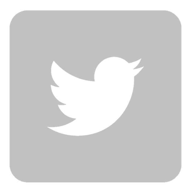 Twitter Is Losing Its Most Active Users, Internal Documents Show Twitter Is Losing Its Most Active Users, Internal Documents Show