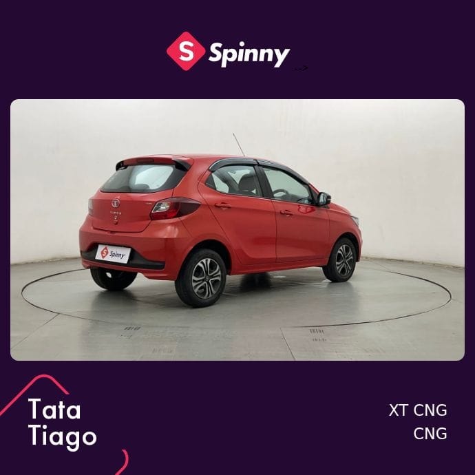 Tiago image 5 Tiago image 5