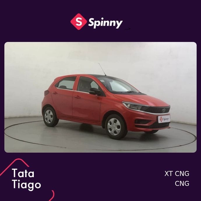 Tiago image 7 Tiago image 7