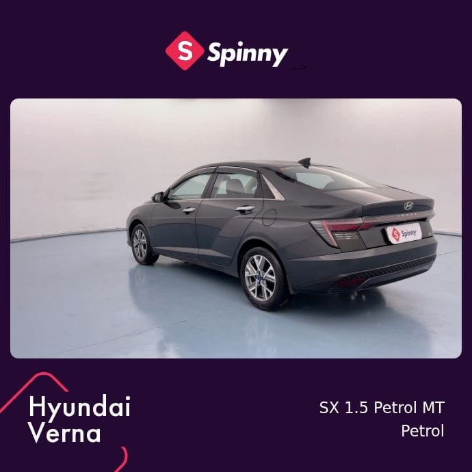 Verna image 3 Verna image 3