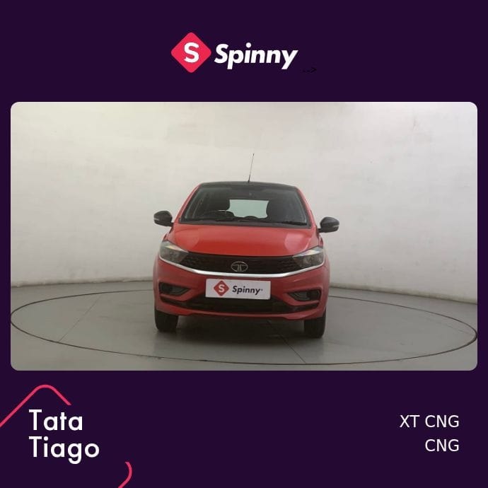 Tiago image 8 Tiago image 8