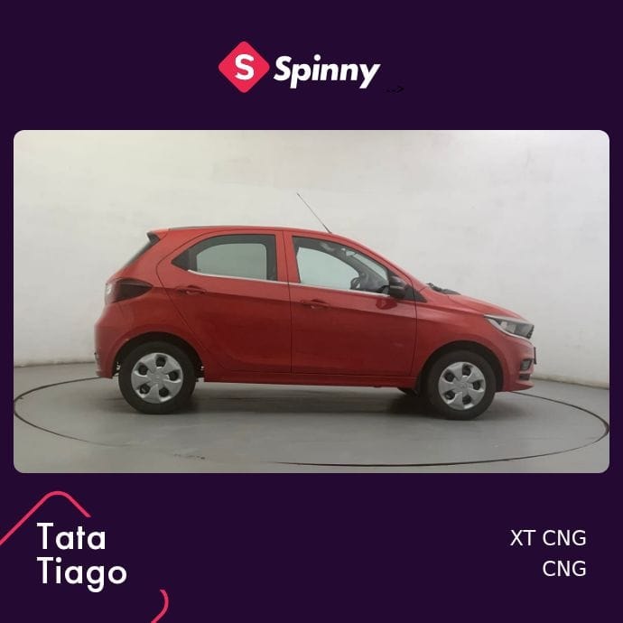 Tiago image 6 Tiago image 6
